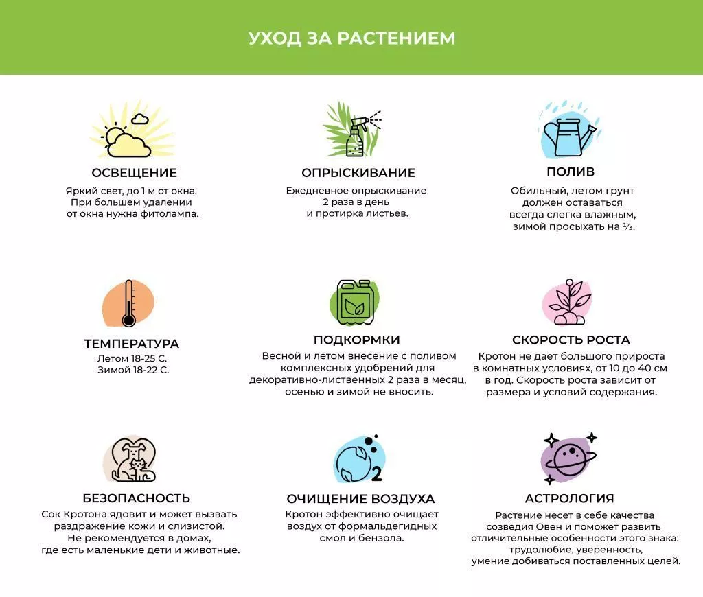 Кротон (1).jpg Кротон (1).jpg