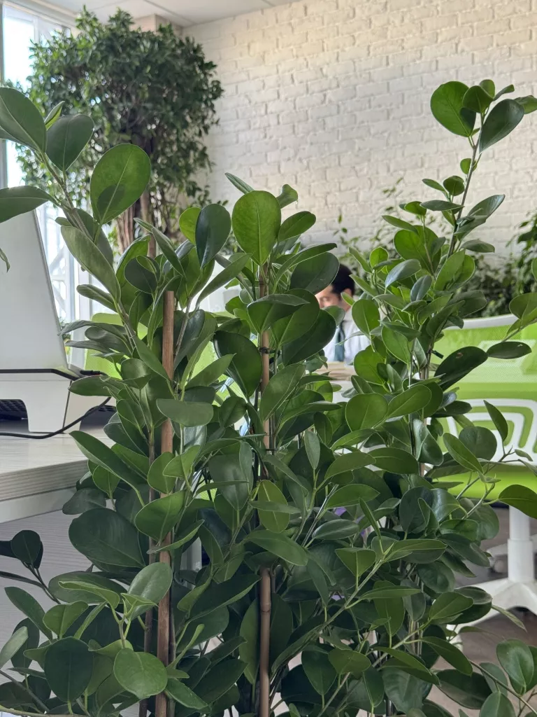 IMG_5531.jpg IMG_5531.jpg