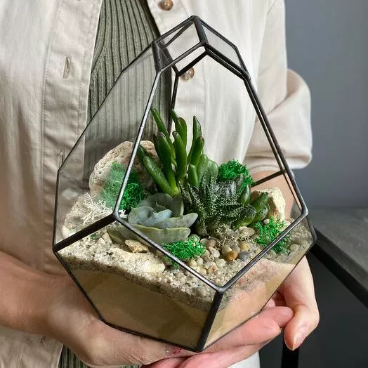 florik-sukkulenty1.jpg florik-sukkulenty1.jpg