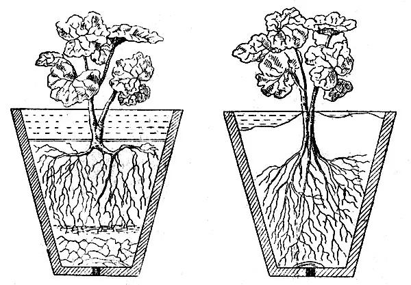 i (5) (convert.io).jpg i (5) (convert.io).jpg