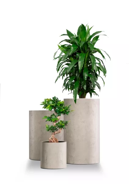 Кашпо CONCRETIKA CYLINDER CONCRETE WHITE