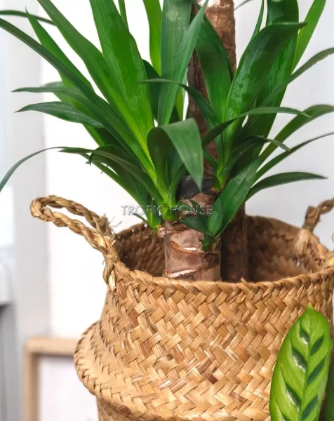 Корзина малая крафт