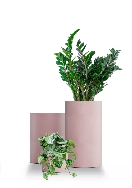 Кашпо CONCRETIKA CYLINDER COCOA