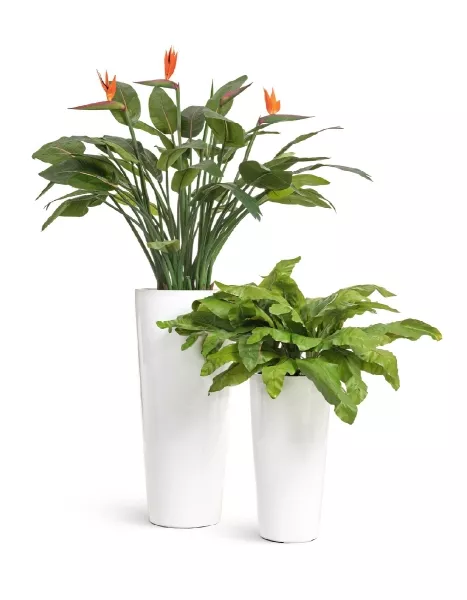 Кашпо TREEZ Effectory, Конус, Белый глянцевый лак