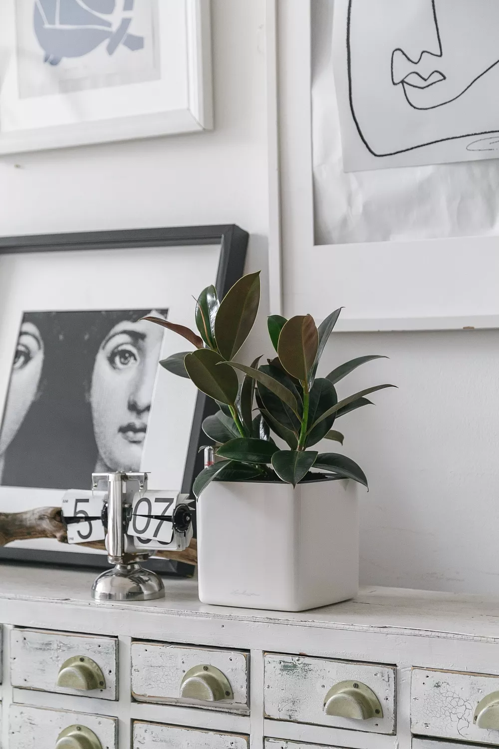 СОЗДАНИЕ ПРОЕКТА ФИТОДИЗАЙНА