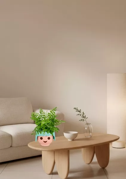 Папоротник Парвати 12/25 см в OJO