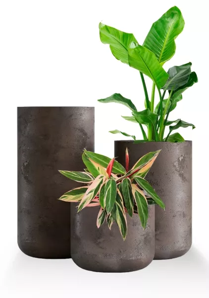 Кашпо CONCRETIKA TOPPER TAUPE CONCRETE