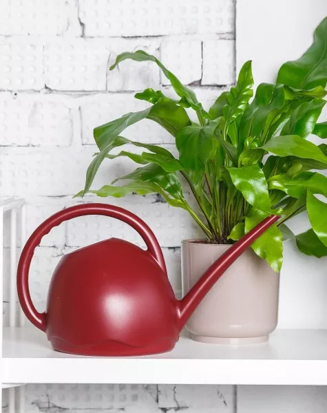 Лейка для комнатных цветов Medusa (красное вино)