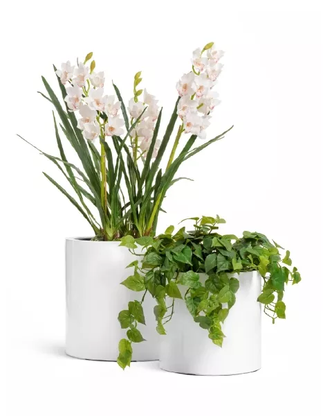 Кашпо TREEZ Effectory, Цилиндр, Белый глянцевый лак