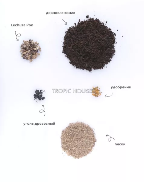 Грунт TROPIC HOUSE для драцен