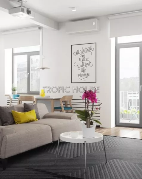 Фаленопсис Маеко в ORCHIDEA 18