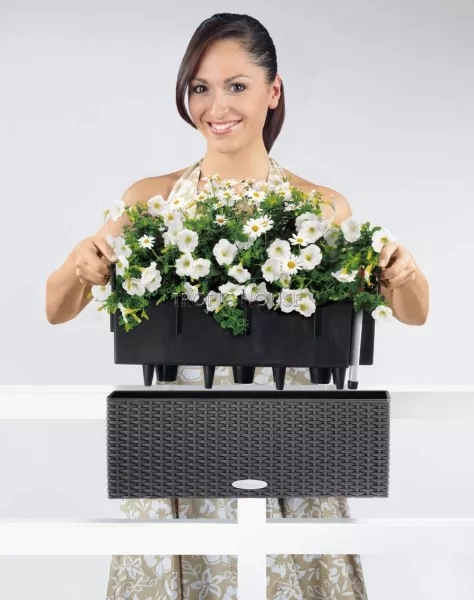 Кашпо LECHUZA BALCONERA Cottage 50х19 см