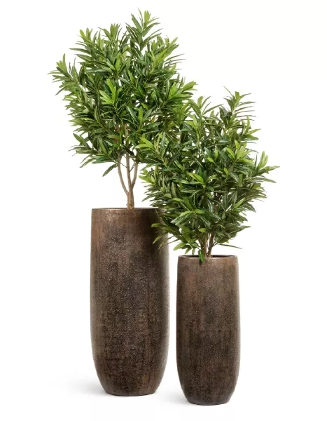 Кашпо TREEZ Effectory, Высокий округлый конус, Rough с золотой патиной