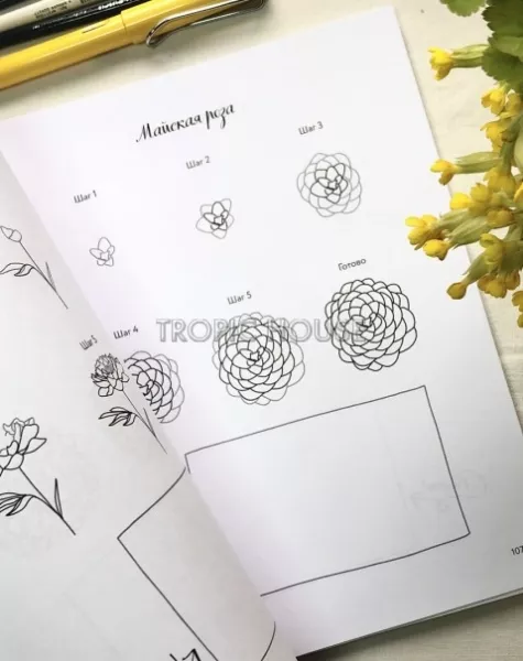 Цветы и листья по линиям