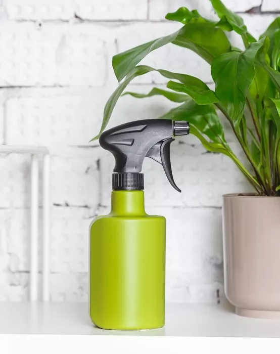 Опрыскиватель для комнатных цветов Plastia (зеленый)