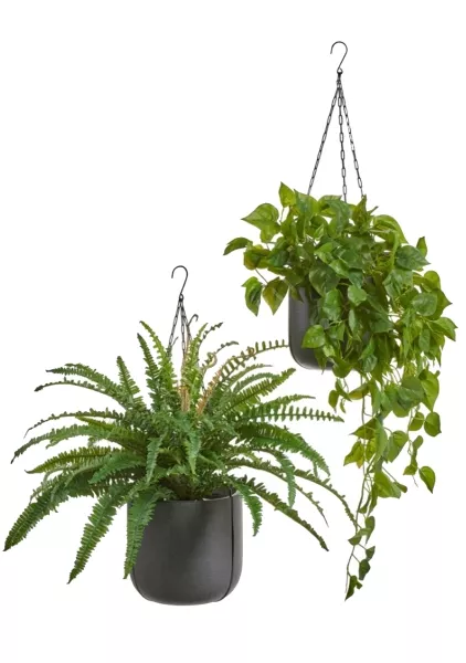 Кашпо TREEZ Effectory, Beton, Чаша подвесная, Тёмно-серый бетон