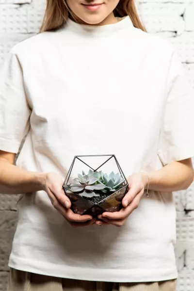 Флорариум - икосаэдр с суккулентами