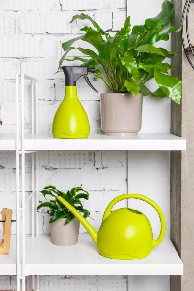 Лейка для комнатных цветов Medusa (светло-зеленый)