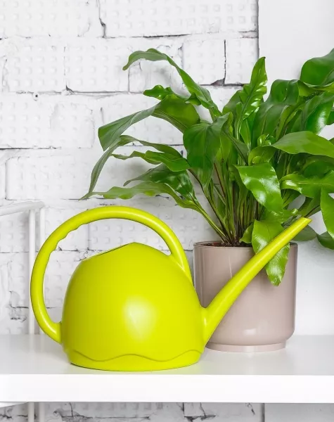 Лейка для комнатных цветов Medusa (светло-зеленый)