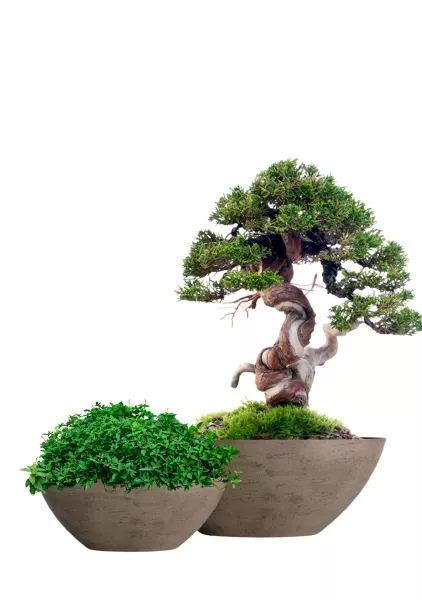 Кашпо CONCRETIKA BONSAY SMOKEY GREY