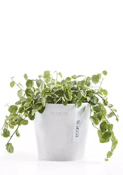 Ecopots Amsterdam Mini 10,5