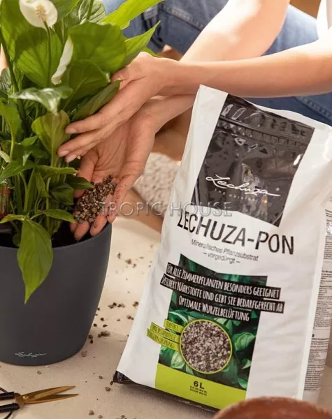 LECHUZA-PON дренаж и субстрат