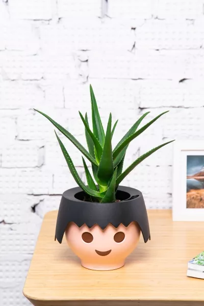 Алоэ в OJO 35 см