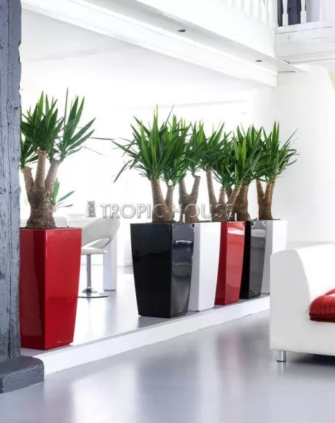 Кашпо LECHUZA CUBICO 40х75 см