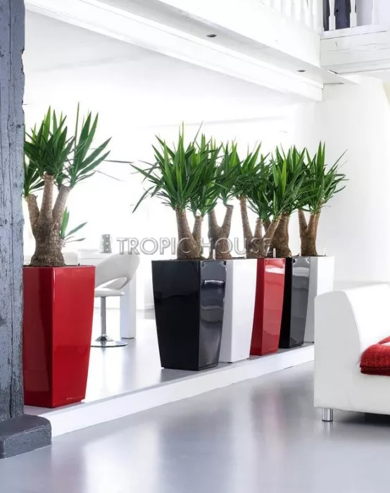 Кашпо LECHUZA CUBICO 40х75 см