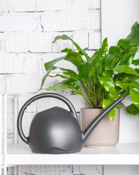 Лейка для комнатных цветов Medusa (антрацит)