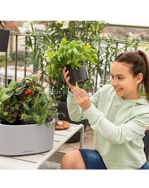 Кашпо LECHUZA PILA Color Stick 35х16.6 см