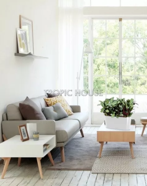 Ктенанта Амагрис в DELTA 20