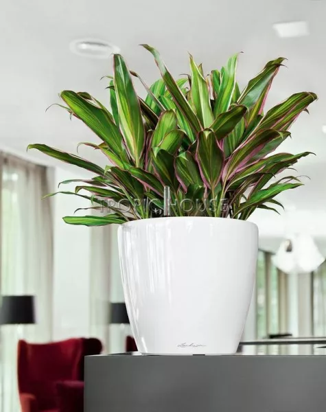 Кашпо LECHUZA CLASSICO LS 28х26 см