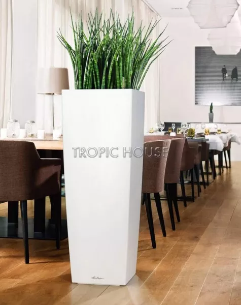 Кашпо LECHUZA CUBICO ALTO 40х105 см