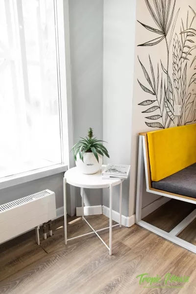 Ананас 12/40 см