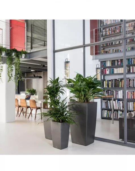 Кашпо LECHUZA CUBICO Color 30х56 см