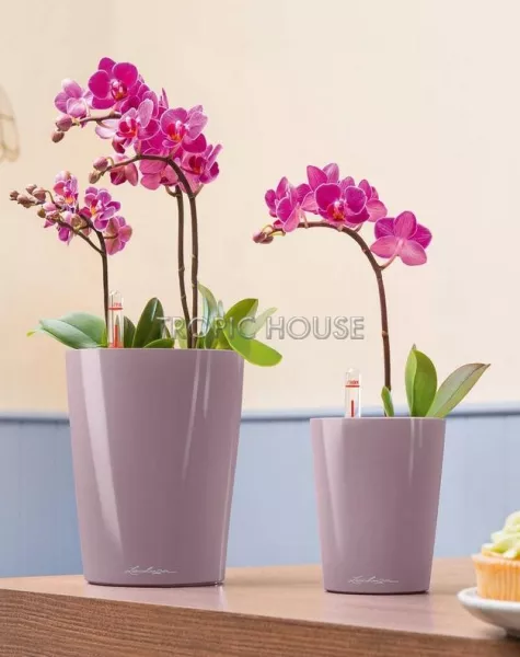 Кашпо LECHUZA MINI-DELTINI 10х13 см