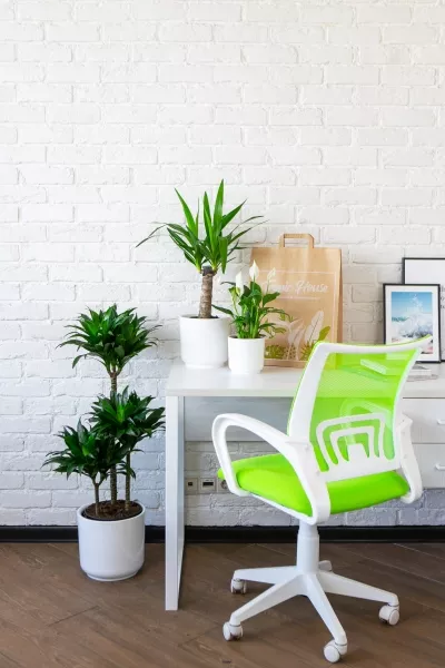 Набор для озеленения офиса № 2 (Юкка, Драцена Компакта 3 ствола, Спатифиллум)