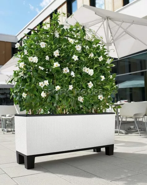 Кашпо LECHUZA TRIO Cottage 40х44 см