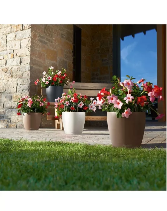 Кашпо LECHUZA CLASSICO Color 18х17 см