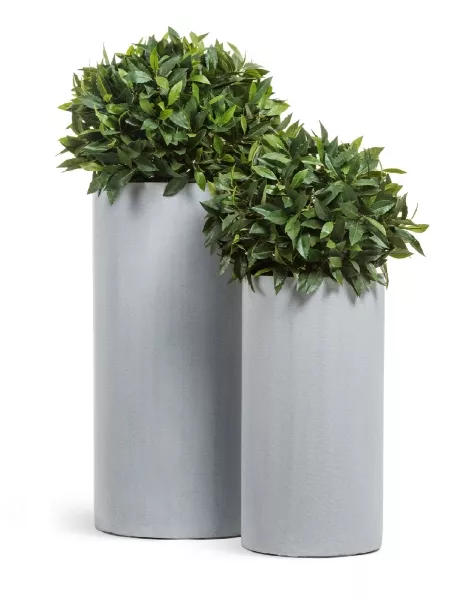 Кашпо TREEZ Effectory, Высокий цилиндр, Серый ледник