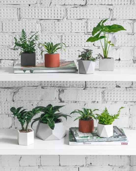 Кашпо бетонное настольное ТН 18