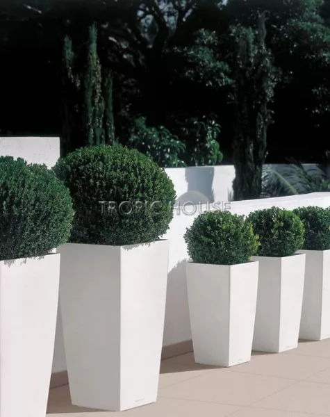 Кашпо LECHUZA CUBICO 30х56 см