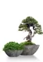 Кашпо CONCRETIKA BONSAY CONCRETE GREY DARK