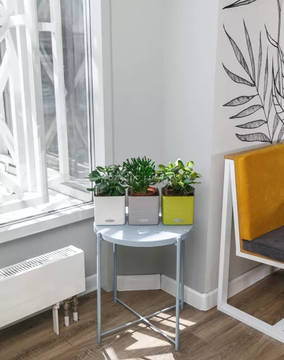 Набор "Денежные деревья" в CUBE 14