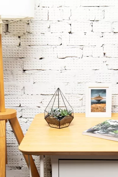 Флорариум - мини капля с суккулентами