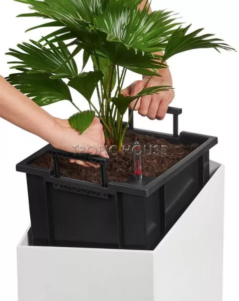 Кашпо LECHUZA CURSIVO 30х49 см