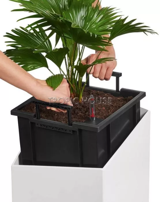 Кашпо LECHUZA CURSIVO 30х49 см