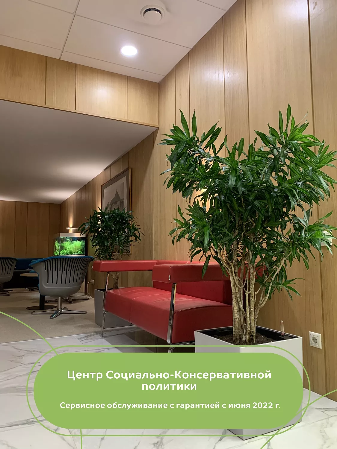 СЕРВИСНЫЙ УХОД ЗА РАСТЕНИЯМИ