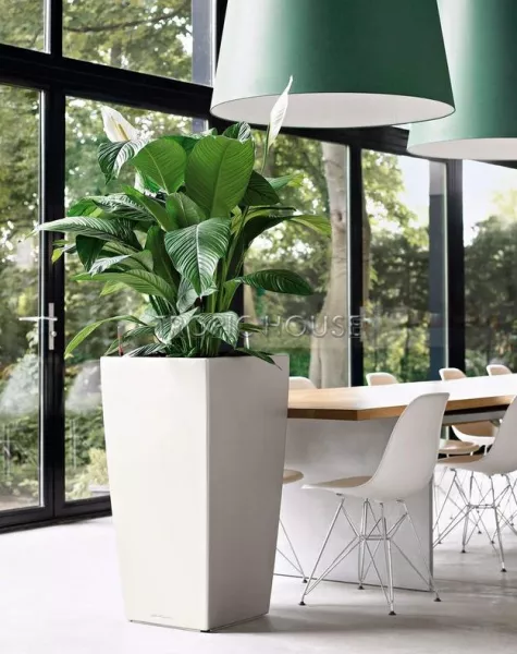 Кашпо LECHUZA CUBICO 50х95 см